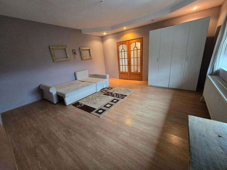 Mosnita Veche- Vila 2 apartamente- Teren 1100 mp - 11