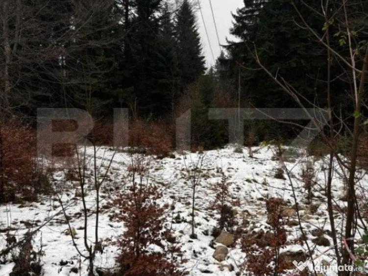 Teren unic, exclusivist 4000 mp, in inima muntilor, Sinaia - 9