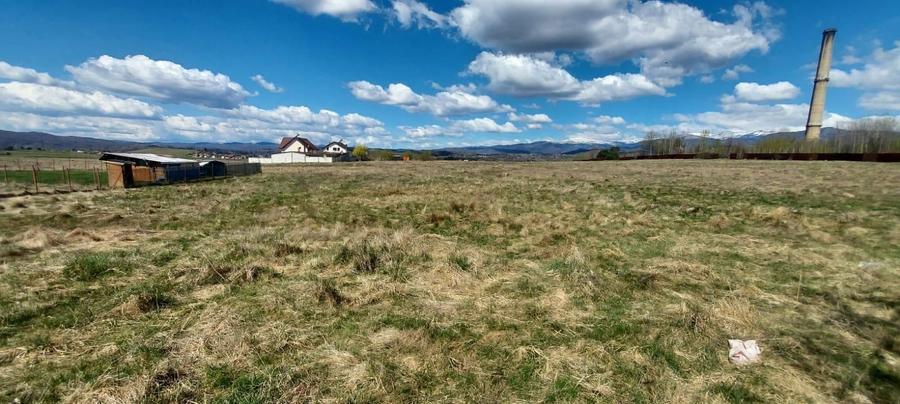 Campulung Grui, Flamanda, Valea Romanestilor si Schitu Golesti - 2