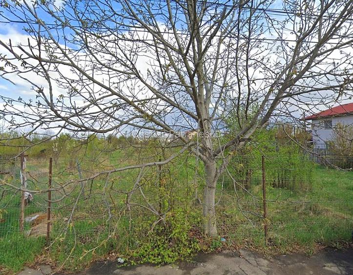 Teren Intravilan 2953 mp – Ideal Proiect Rezidential | Alexandriei