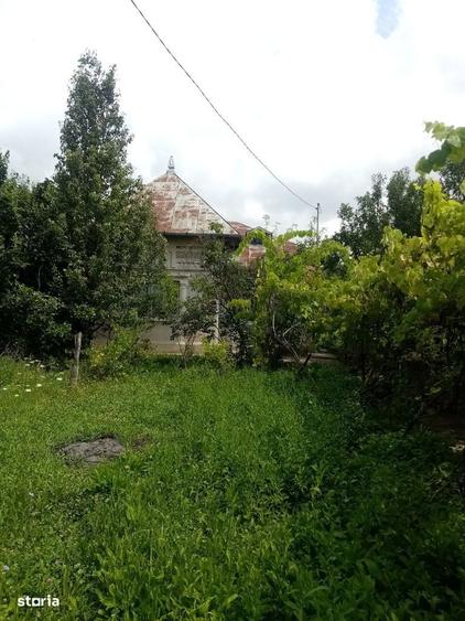 Oferta - Casa cu 2 camere si teren de 3198 mp - 8