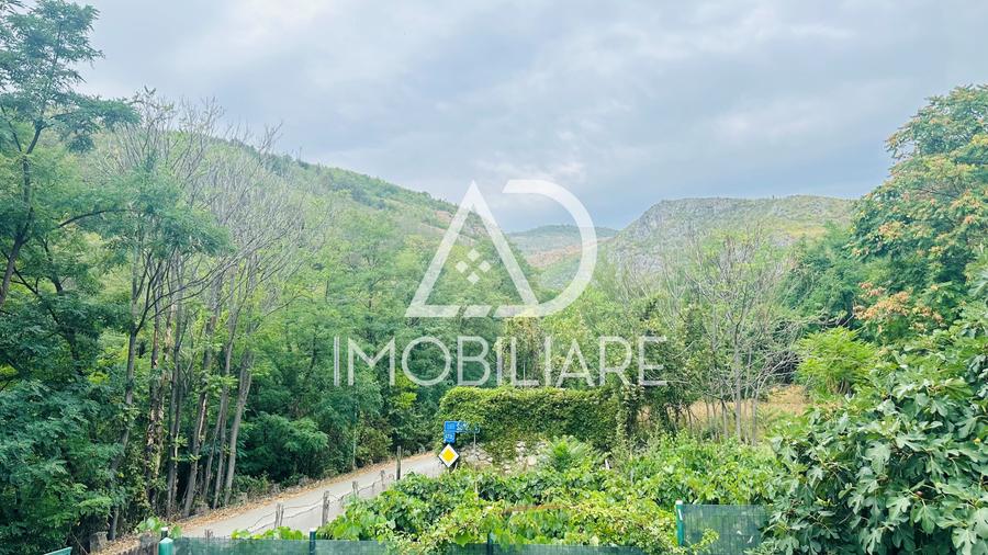 Afacere la cheie – Pensiune turistică în Comuna Runcu - 10