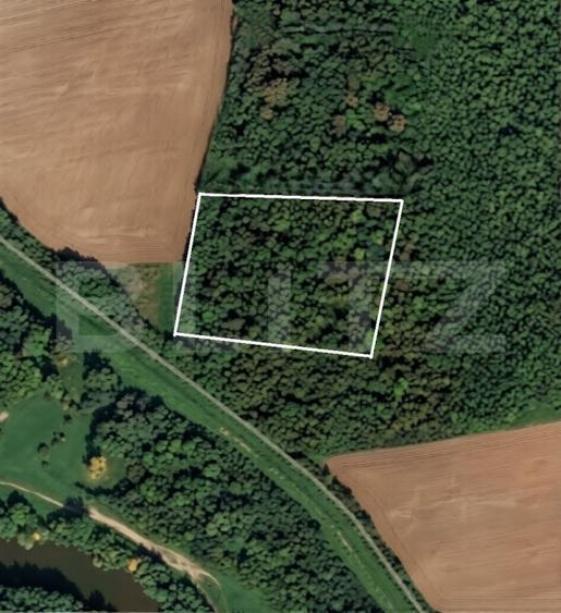 Parcelă 10.000 mp la liziera pădurii, Șag – front stradal 40m - 1