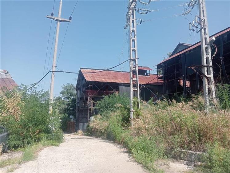 Teren Construcții intravilan de 11043 mp, în Dăești