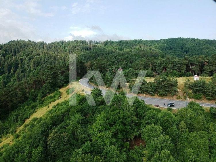 Teren Construcții intravilan de 6714 mp, în Drumul Poienii