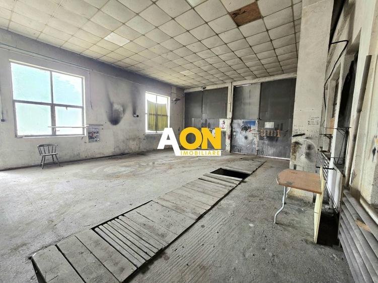 Spațiu industrial, de 100 mp, în Bărăbanț