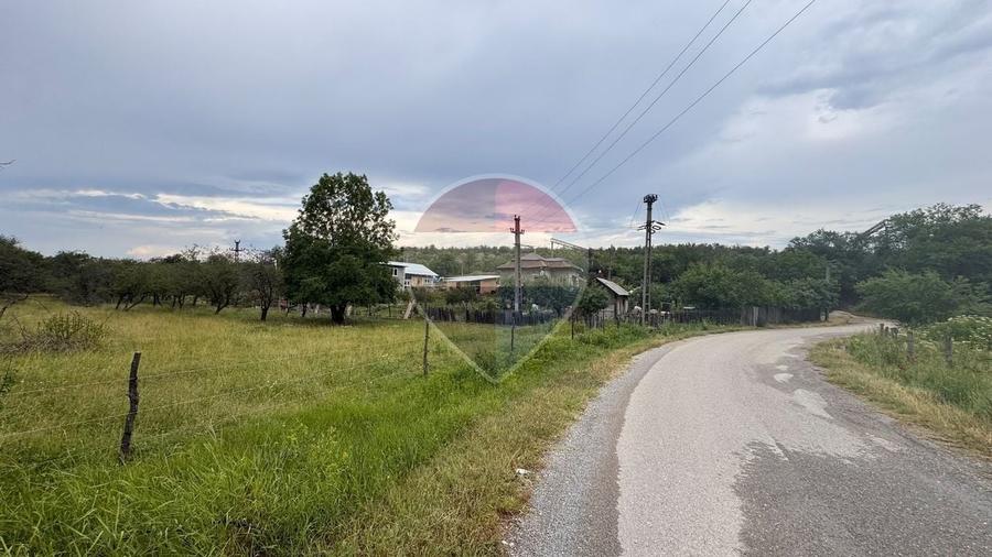 Teren Construcții intravilan de 20798 mp, în Prunișor