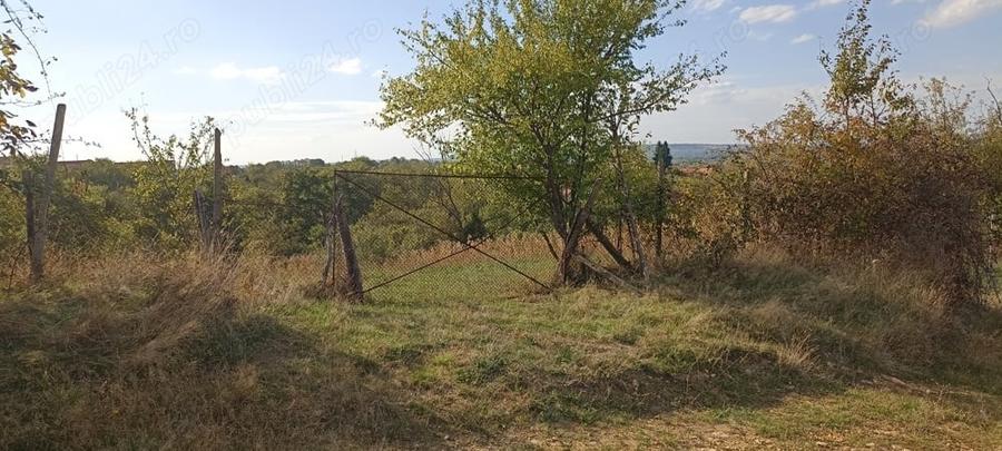 Teren de 2000 mp, în Câlnic