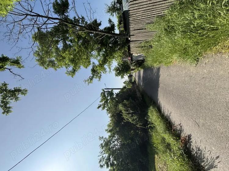 Teren de 5000 mp, în Fusea