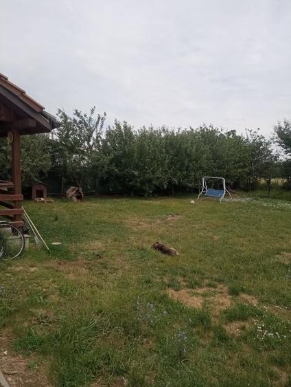 Casă cu 4 camere în Păulești