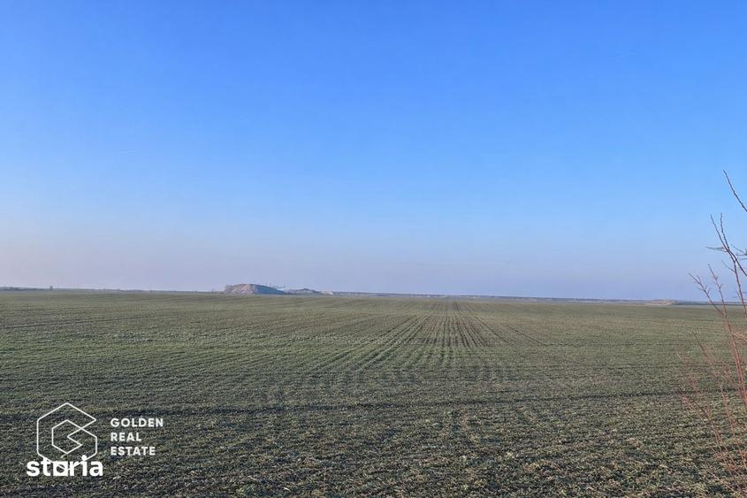 Teren de 32000 mp, în Vladimirescu