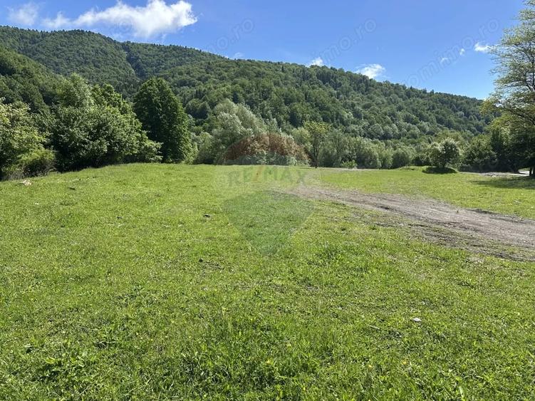 Teren de 1340 mp, în Cuejdiu
