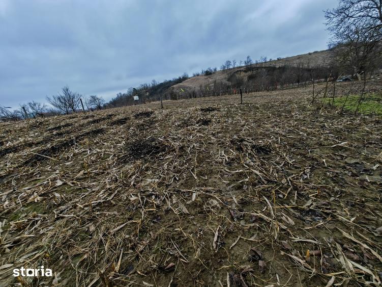 Teren de 3000 mp, în Măgura