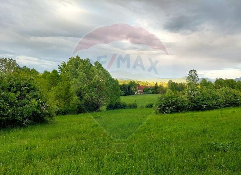 Teren Bran-Zarnesti - Tohanita, 4223mp - 10