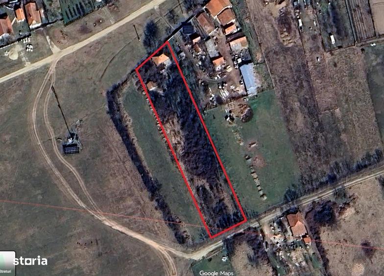 Teren Intravilan Sauaieu 2900m2 cu nr de casa dublu front stradal - 1