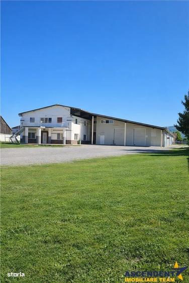 Hala multifunctionala, Prejmer, Central - 9