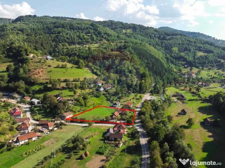 Casa cu anexe ?i teren de 4177 mp de vanzare, Munteni,... - 18