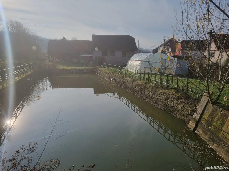 Casa+ livada Amnas, jud. Sibiu - 1