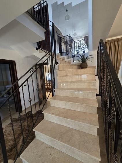 Casa de Vis, Serbanesti - 10