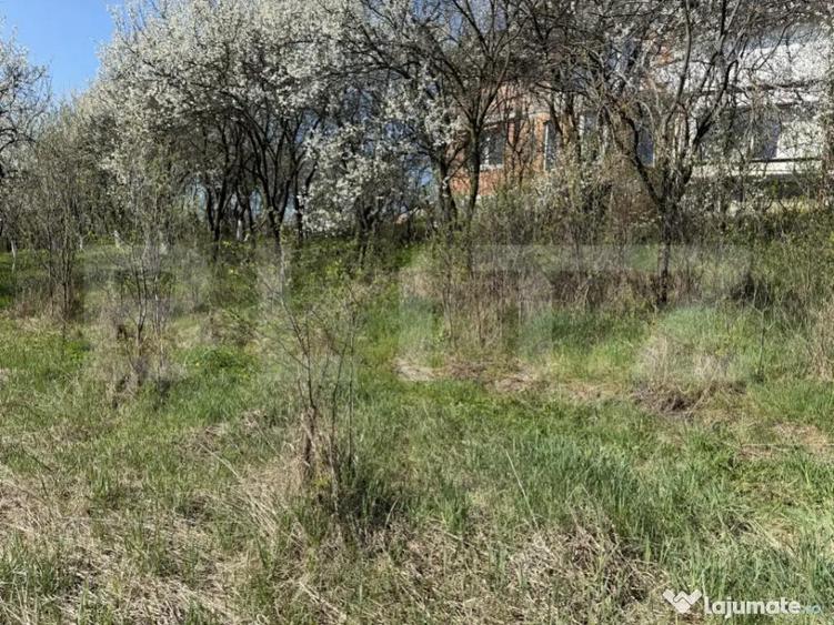 Teren intravilan in localitatea Criseni in suprafata de 2700 - 1