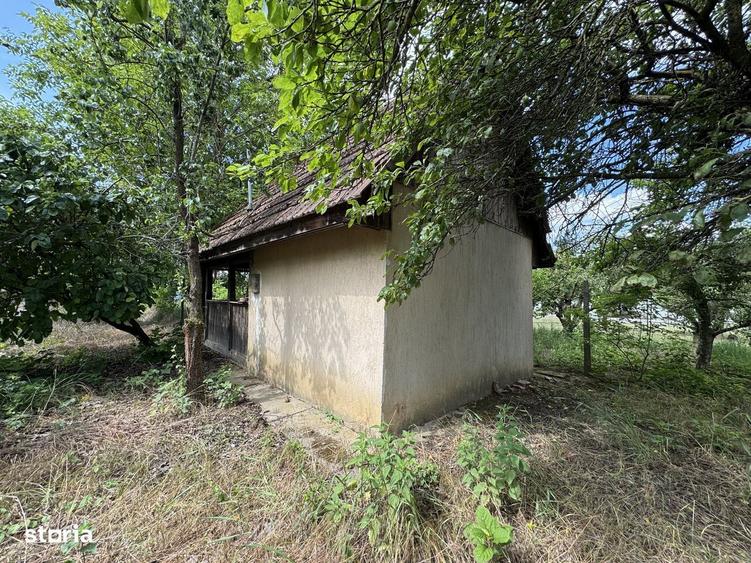 Teren intravilan / gradina cu cabanuta , zona Bercu Rosu - 3