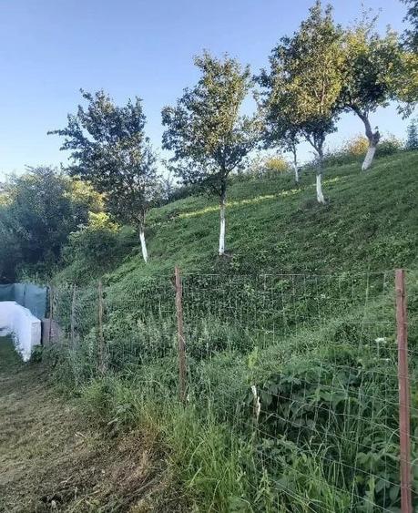 Teren intravilan de vanzare, in satul Gheorghieni! - 7