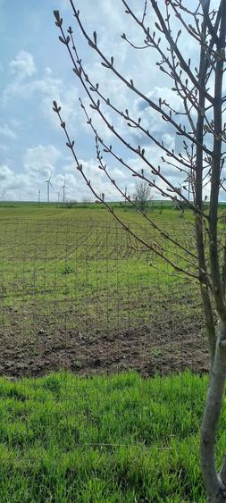 Vand casa in com .Gradina jud Constanta - 8