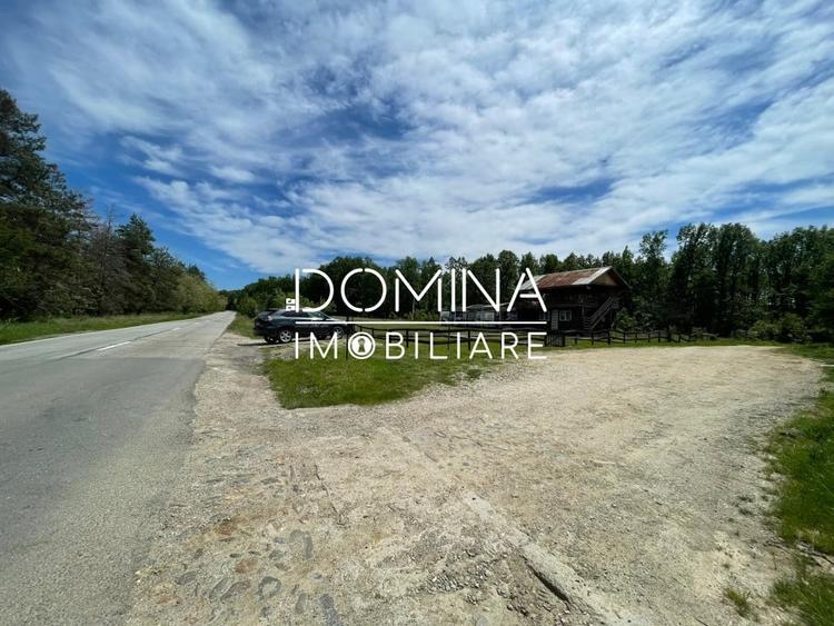 Vanzare teren *oportunitate investitie* situat in Carbunesti-Sat, la DN 67B - 9