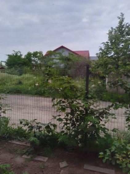 Vand loturi 500 mp - 1