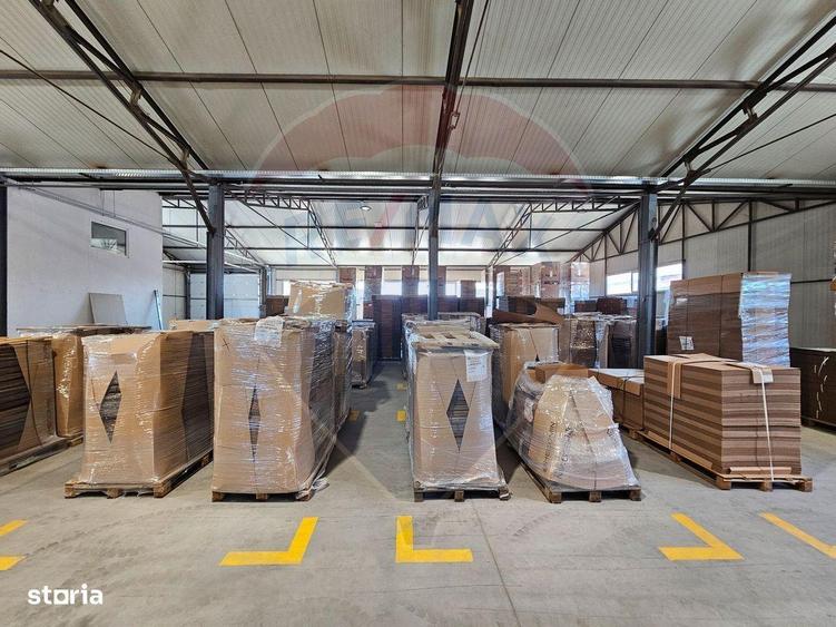 Hale Industriale 5065 mp de vanzare Str. Bradului - Bacau - 3