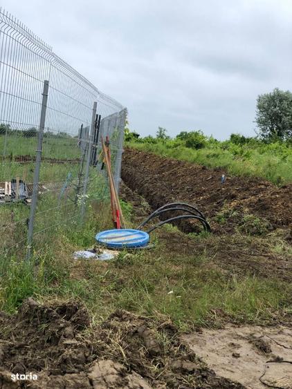 Teren intravilan Bucium 1000 mp, dealul Craitelor - 2