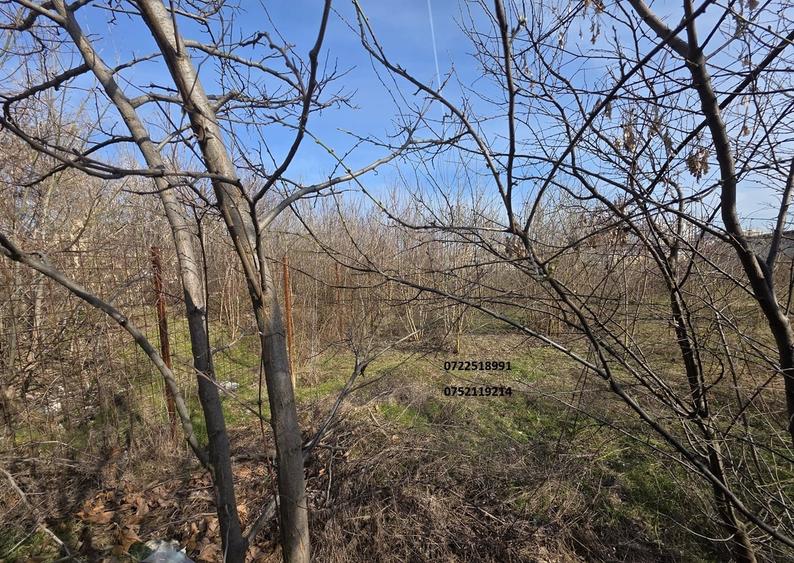 Teren intravilan, 5000 mp, Bld. Timisoara, Dr. Taberei. Ocazie! - 3