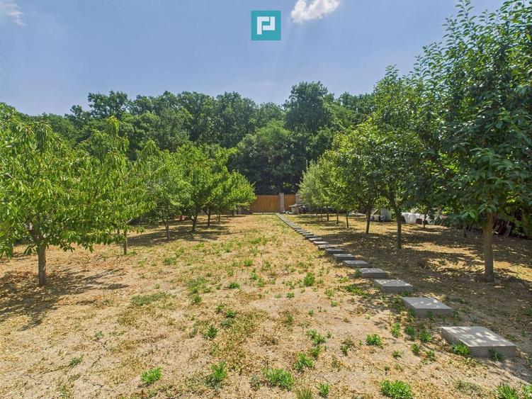 Teren edificabil 1106 mp – Dumbrăvița - 2