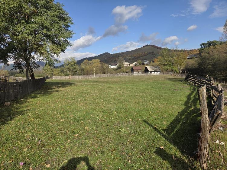 Pamant intravilan de vanzare - 2