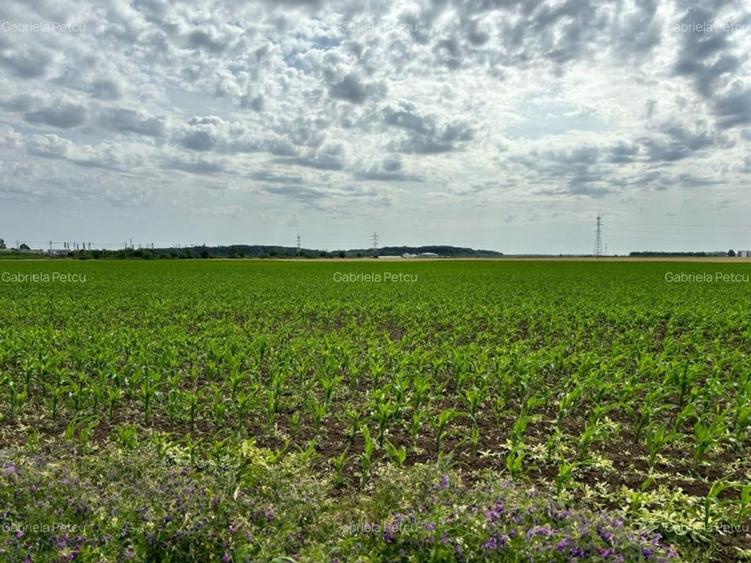 Dobroesti Teren 15.000 Mp Bd. Nordului Deschidere 41 ml - 3