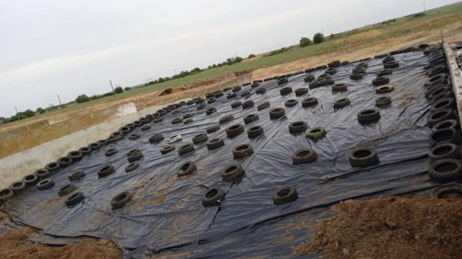 Ferma zootehnică funcțională, populată cu peste 200 capete bovine, aproape de Sâ - 7