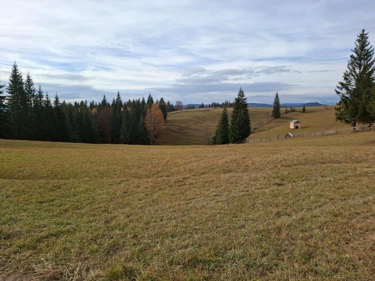 Teren vanzare intro o zona linistita. - 2