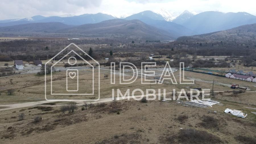 Teren extravilan de vânzare – Cârțișoara | Vedere spre Munții Făgăraș - 3