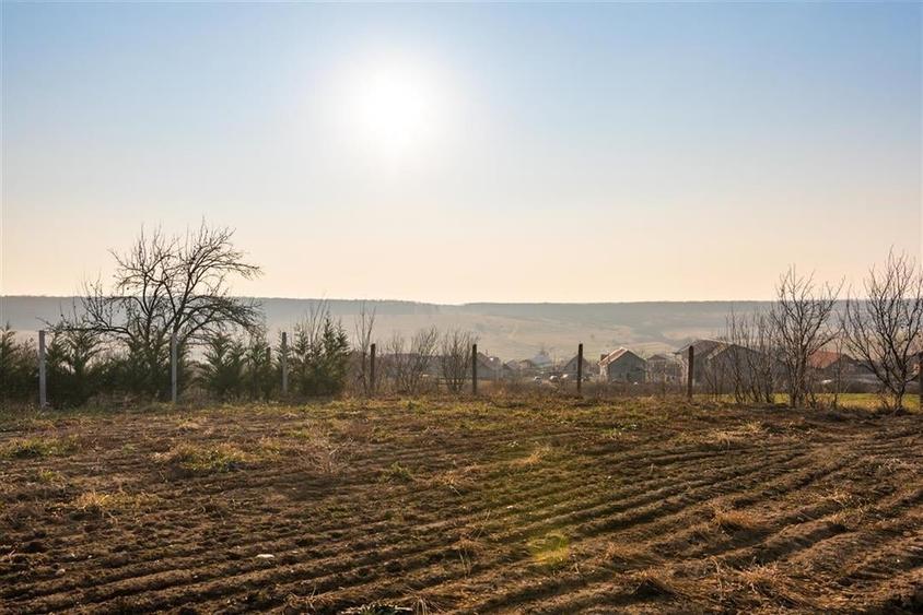 RECO Teren intravilan +utilitati 1000 mp zona Baile Felix - 13