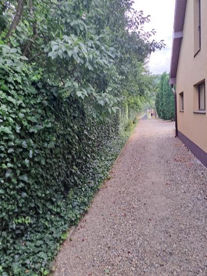 VILA IN REGIM DE INALTIME PARTER SI ETAJ ULTRAFINISATA PE 19 ARI TEREN - 15