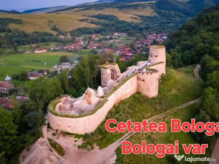 Teren de vanzare 26403mp - 3