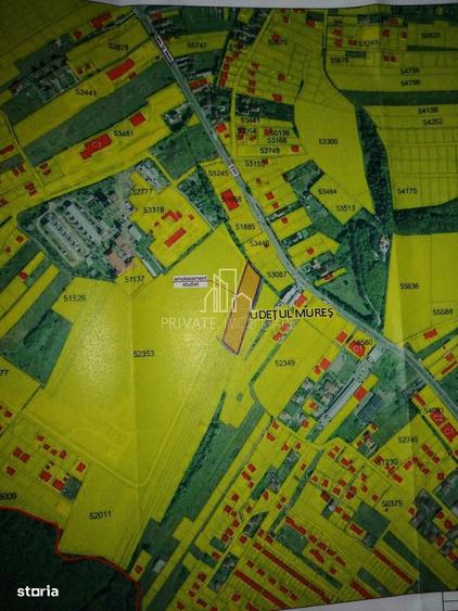 Teren 5 300 Mp Intravilan De Vanzare, Str Bujorului, Corunca - 4