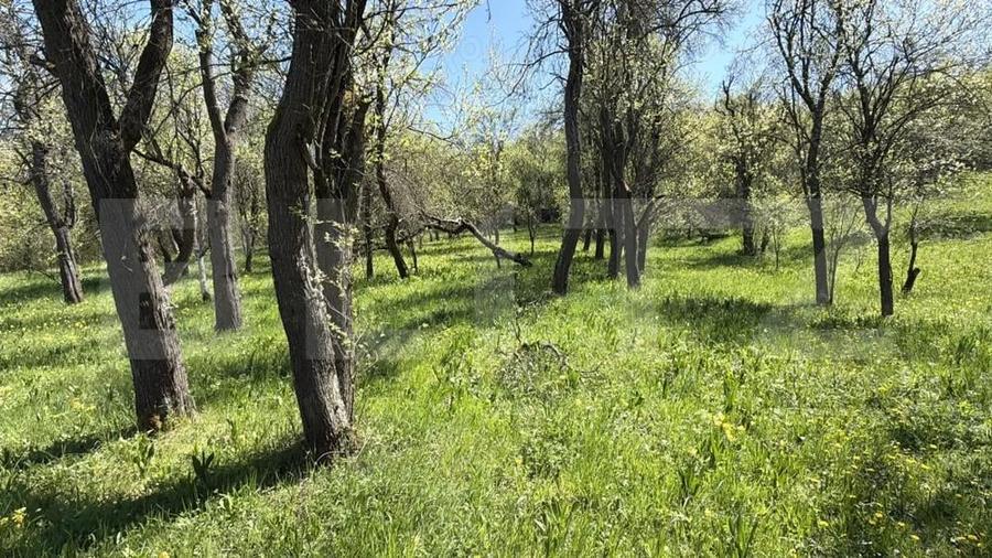 Casa cu 3 camere ?i un teren de 5000 mp - 10