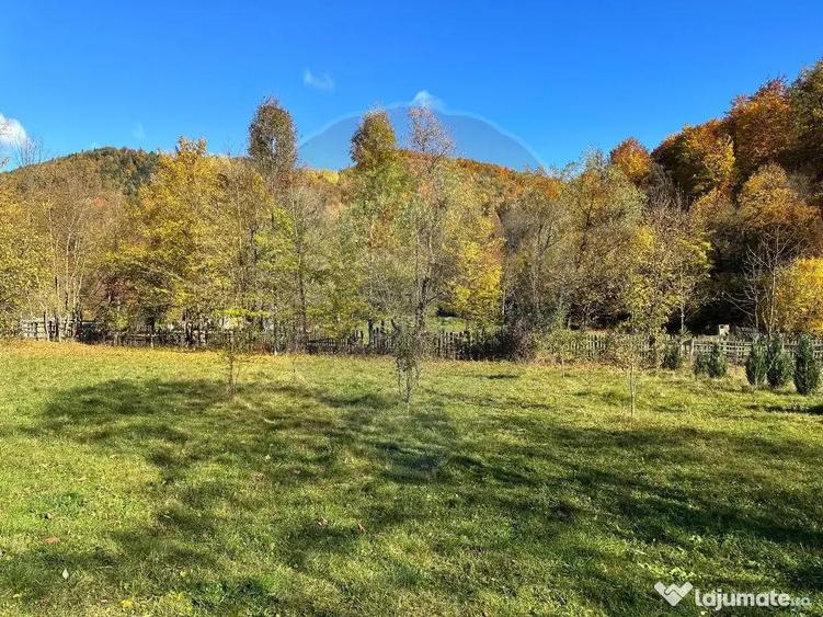 Teren de vanzare Cuiejdel 1350 mp - 3