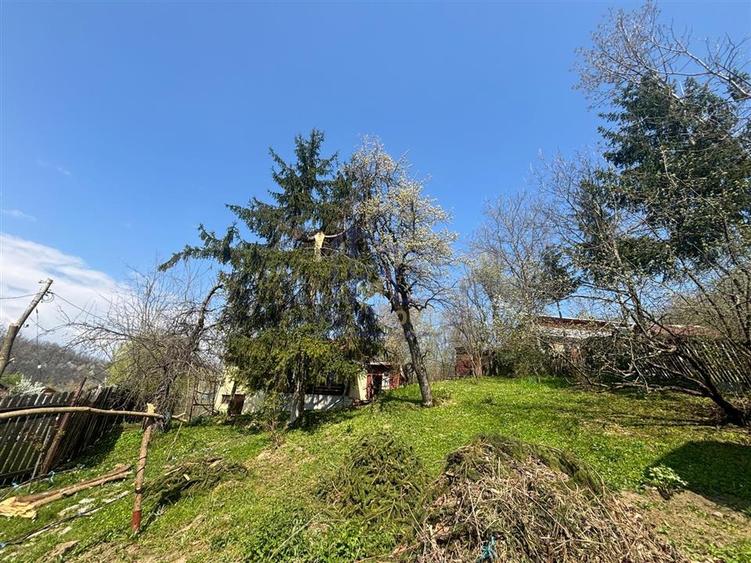 Casa cu teren - 6