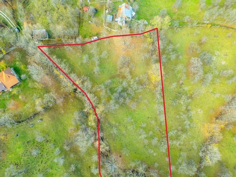 Teren intravilan 4384 mp – Comuna Talea,  județul Prahova - 6