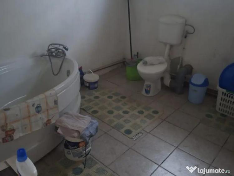 Casa individuala, 125 mp, zona Pictor Rosenthal - 9