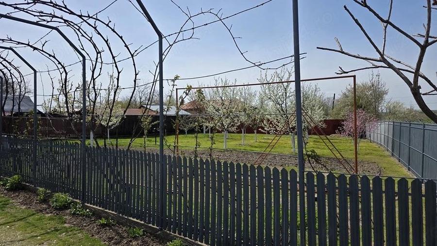 Case Costestii din deal - 3