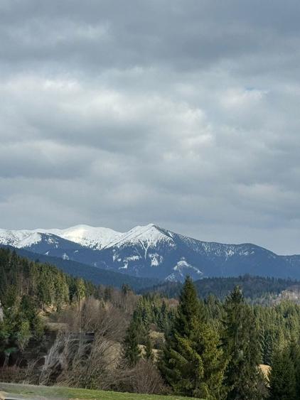 Cabana de vanzare - 7