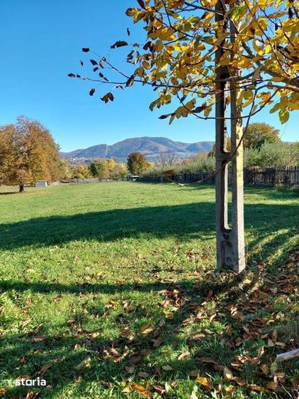 Teren intravilan - 1
